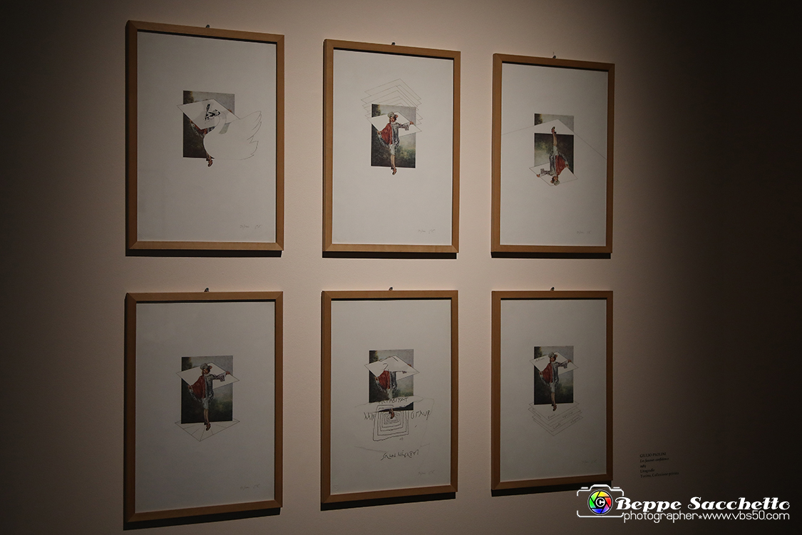VBS_1295 - Castello di Miradolo - Mostra Oltre il giardino l'Abbecedario di paolo Pejrone.jpg